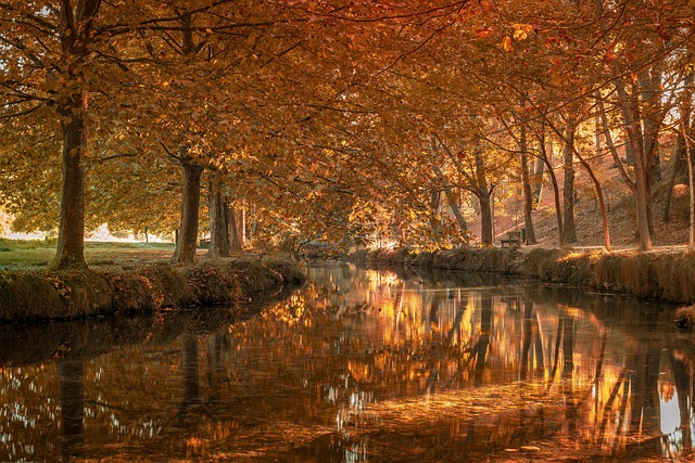 équipe de consultants en stratégie et finance réunion de travail